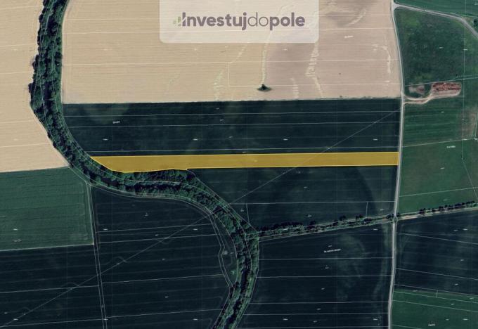 Prodej pole, Plav, 9839 m2