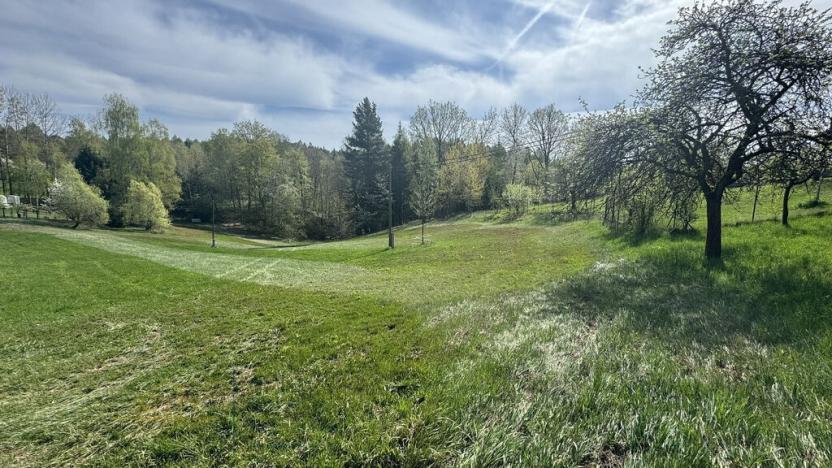 Prodej pozemku, Nová Paka - Zlámaniny, 3156 m2