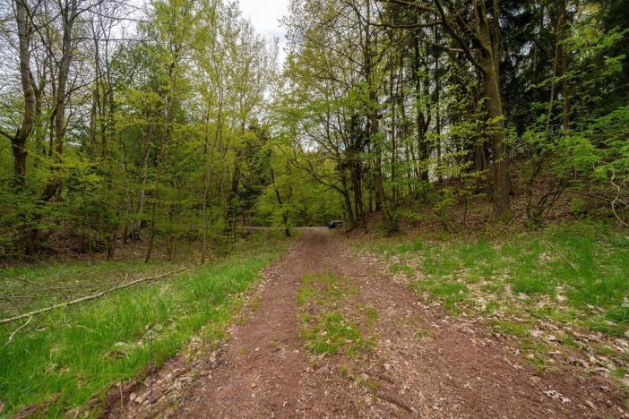 Prodej pozemku, Nová Paka - Zlámaniny, 3156 m2