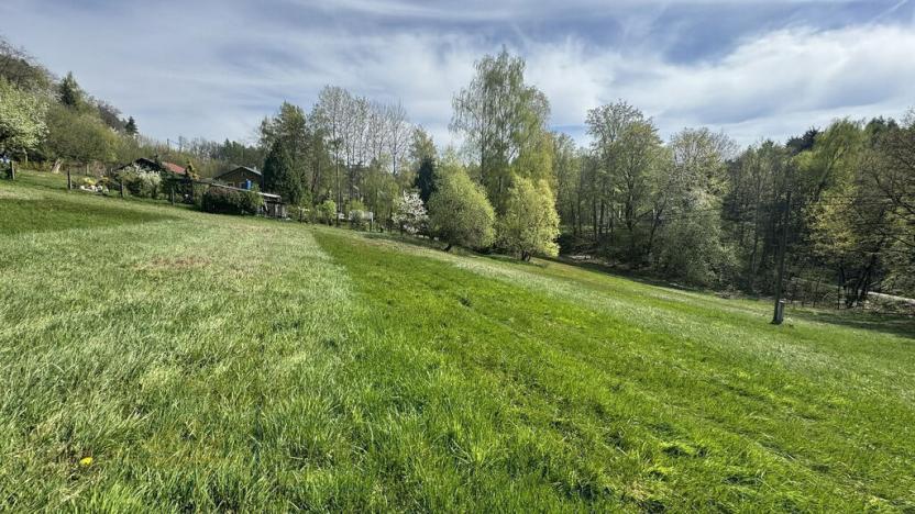 Prodej pozemku, Nová Paka - Zlámaniny, 3156 m2