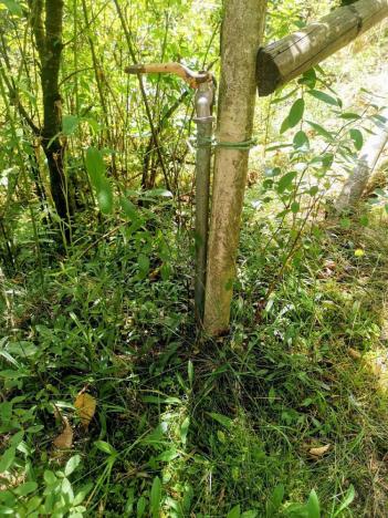 Prodej chaty, Čerňovice, 55 m2