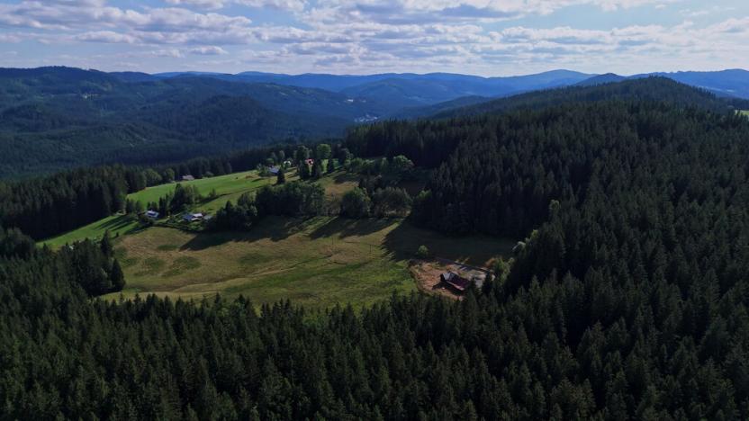 Prodej pozemku, Staré Hamry, 70000 m2