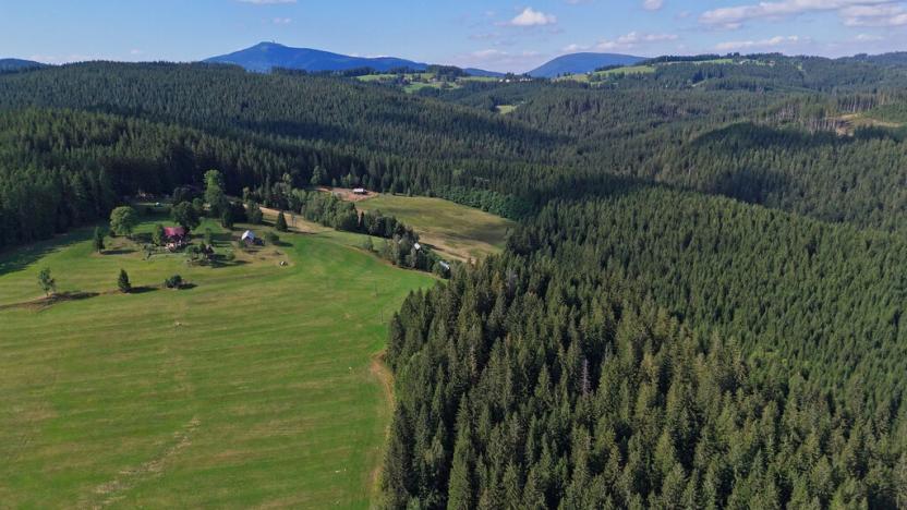 Prodej pozemku, Staré Hamry, 70000 m2