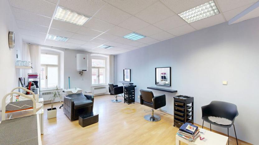 Prodej obchodního prostoru, Třebíč - Vnitřní Město, Hasskova, 294 m2