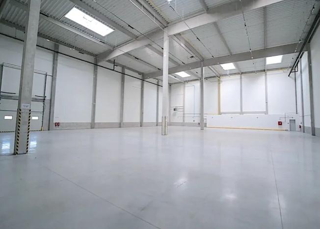 Pronájem obchodního prostoru, Řepov, 816 m2
