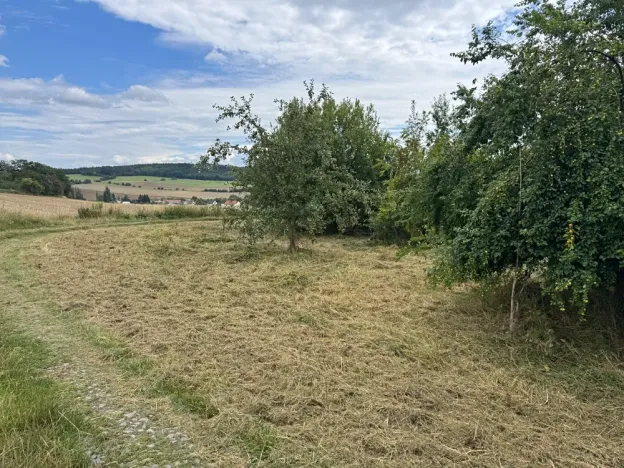 Pronájem pozemku, Ondřejov, 3382 m2