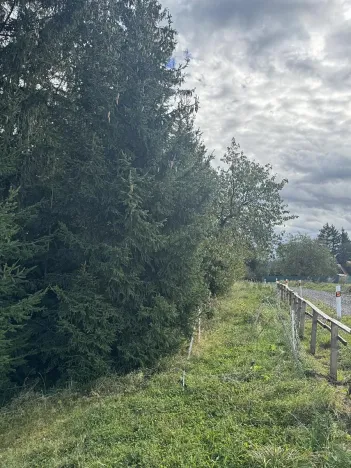 Prodej pozemku, Velké Svatoňovice, 10821 m2