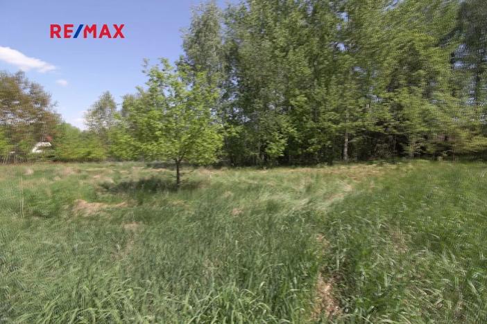 Prodej pozemku pro bydlení, Jílovice, 3346 m2