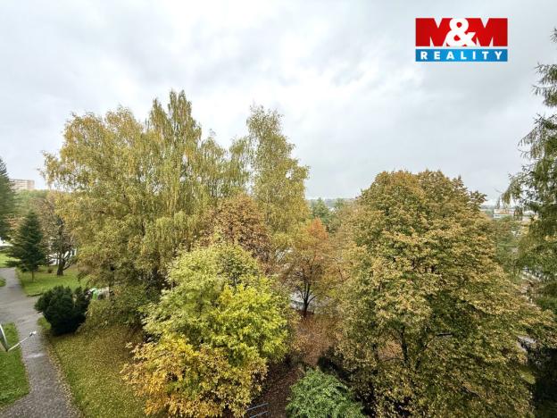 Pronájem bytu 1+1, Havířov - Podlesí, Okrajová, 35 m2