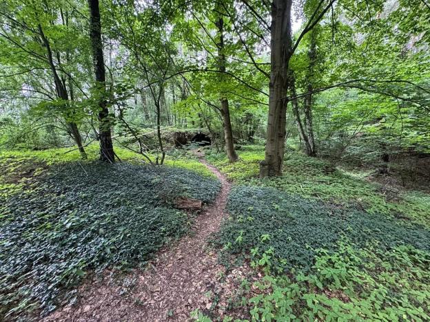 Prodej podílu pozemku pro bydlení, Kacanovy, 25219 m2