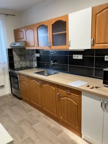 Pronájem bytu 2+1, Břeclav, Smetanovo nábřeží, 56 m2