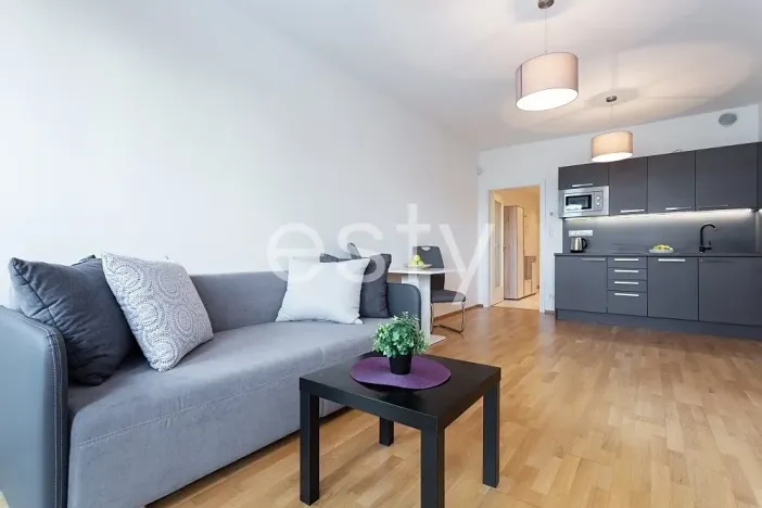 Pronájem bytu 1+kk, Praha - Žižkov, Olšanská, 35 m2