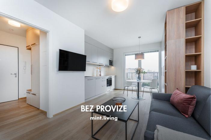 Pronájem bytu 1+kk, Plzeň - Skvrňany, Františka Kováříka, 39 m2