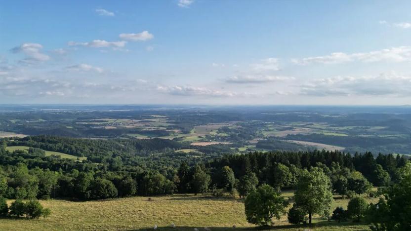 Prodej louky, Proseč pod Ještědem, 385 m2