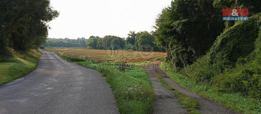 Prodej zahrady, Hoštka, 1330 m2