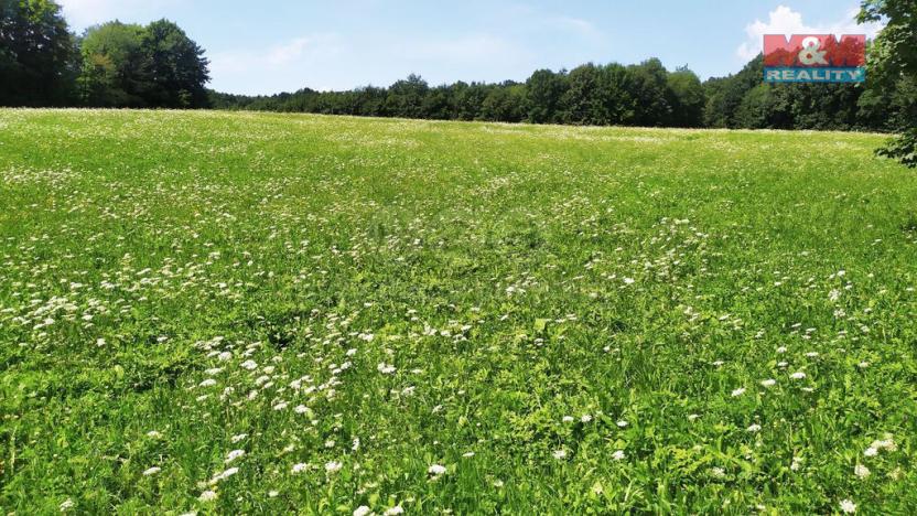 Prodej louky, Štramberk, 4766 m2