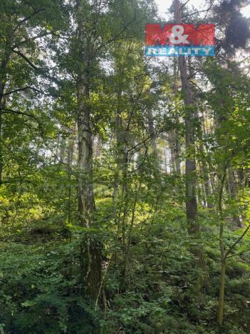 Prodej lesa, Mírová pod Kozákovem - Sekerkovy Loučky, 5461 m2