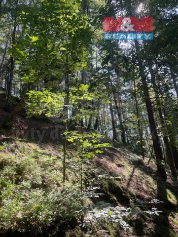 Prodej lesa, Mírová pod Kozákovem - Sekerkovy Loučky, 5461 m2