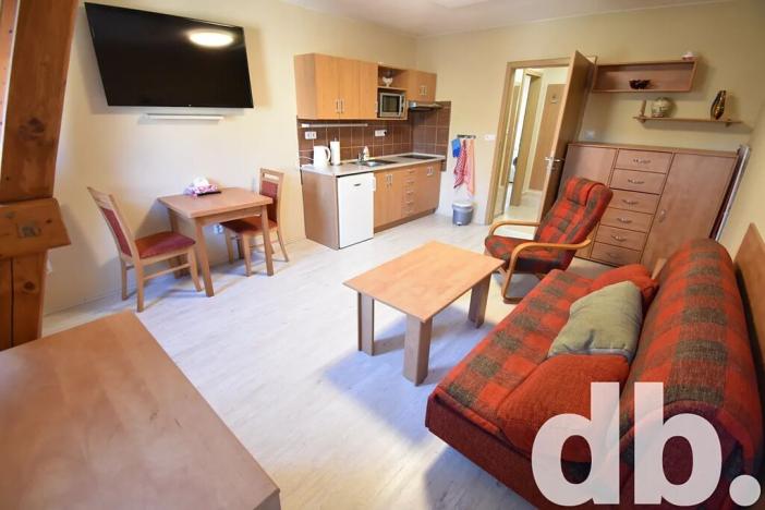 Pronájem bytu 1+kk, Karlovy Vary, Vítězná, 32 m2