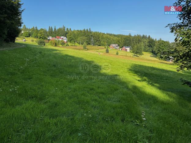 Prodej louky, Kořenov - Rejdice, 7880 m2