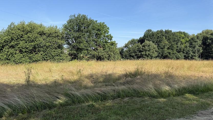 Pronájem louky, Ostrava - Polanka nad Odrou, K Lípě, 9850 m2