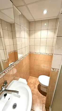 Pronájem bytu 1+kk, Most, U Věžových domů, 20 m2