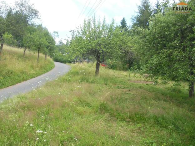 Prodej louky, Bozkov, 520 m2