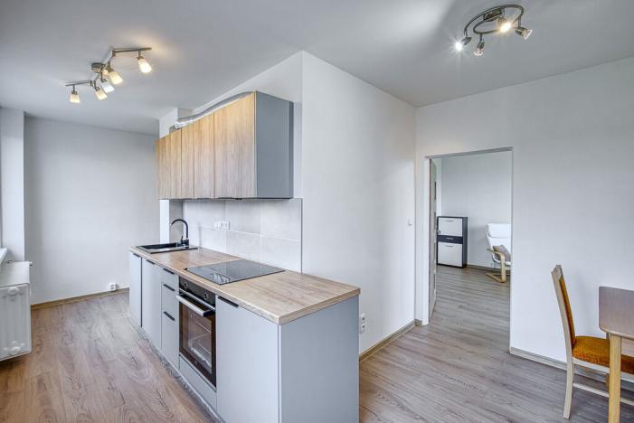 Pronájem bytu 2+1, Chomutov, Bezručova, 55 m2