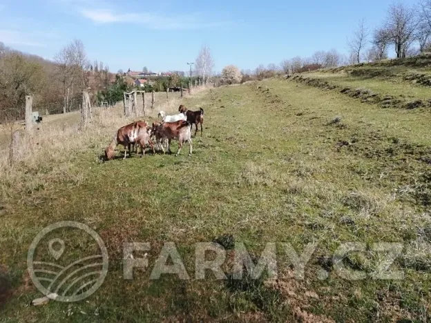 Prodej zemědělské usedlosti, Řepín, 1029 m2