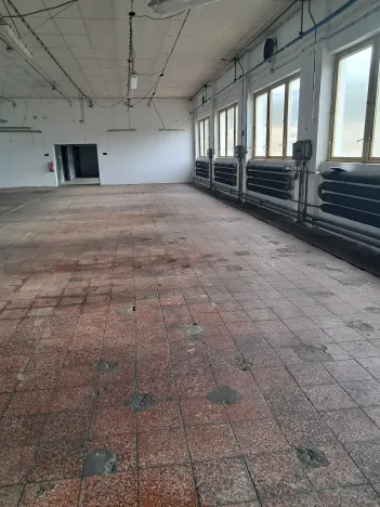 Pronájem výrobních prostor, Skuteč, Husova, 421 m2