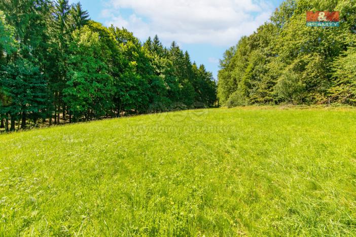 Prodej pozemku pro bydlení, Pec, 7125 m2