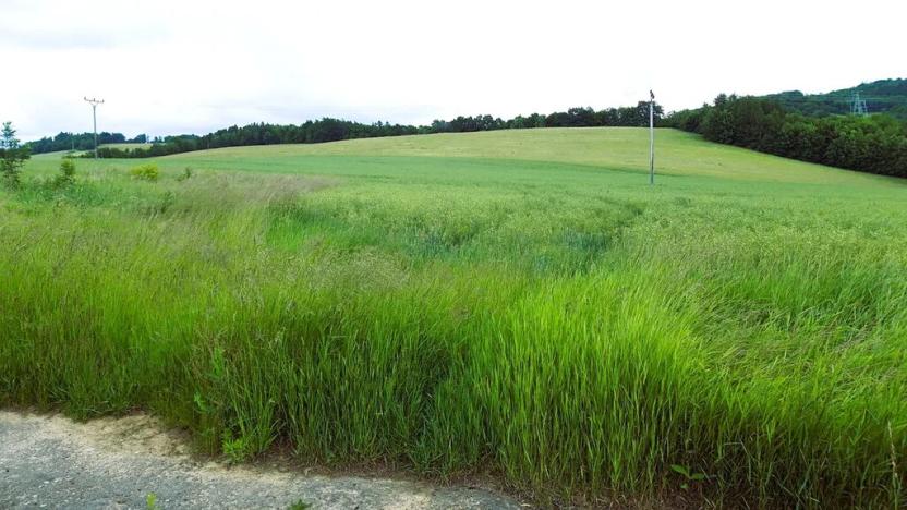 Prodej pozemku pro bydlení, Oskava, 1250 m2