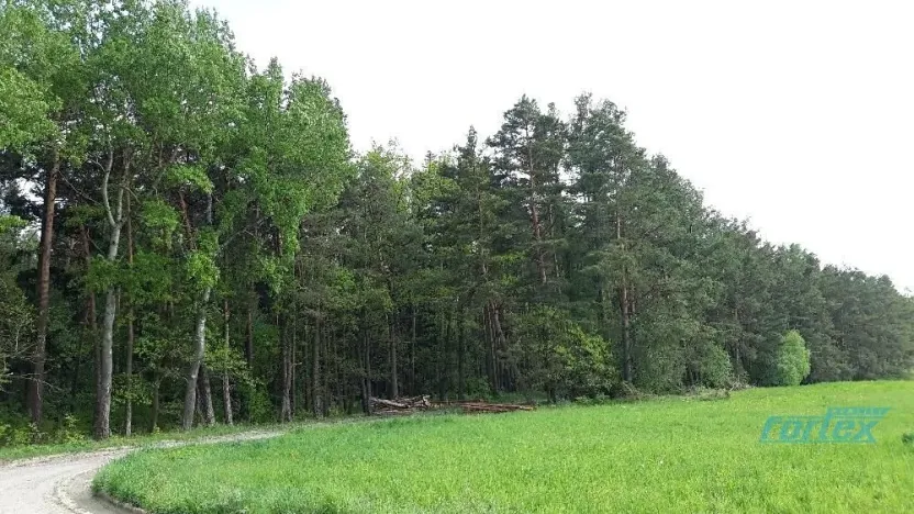 Prodej lesa, Zábřeh, 78836 m2