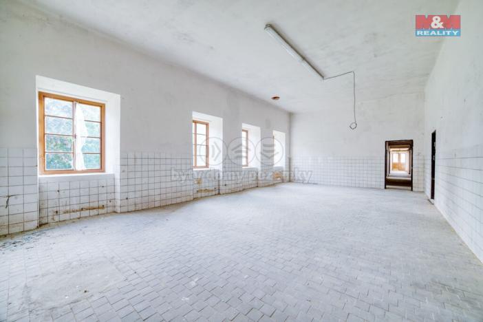 Pronájem obchodního prostoru, Plzeň - Východní Předměstí, sady 5. května, 330 m2