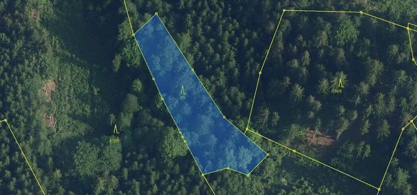 Prodej lesa, Plavy, 1810 m2