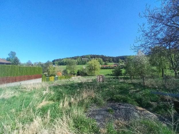 Prodej pozemku, Chudenín - Skelná Huť, 1205 m2