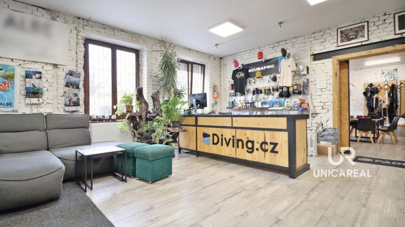 Pronájem obchodního prostoru, Brno - Husovice, Dukelská třída, 240 m2