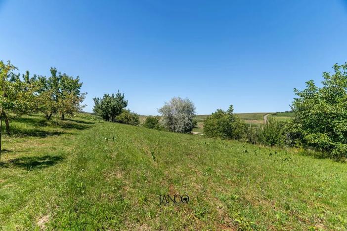 Prodej rodinného domu, Hovorany, 180 m2