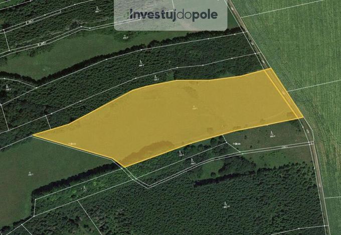 Prodej louky, Velký Vřešťov, 18152 m2