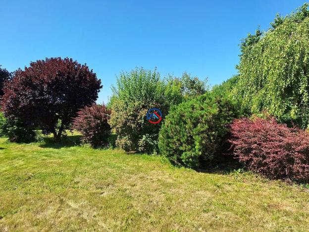 Prodej chalupy, Citov, 80 m2