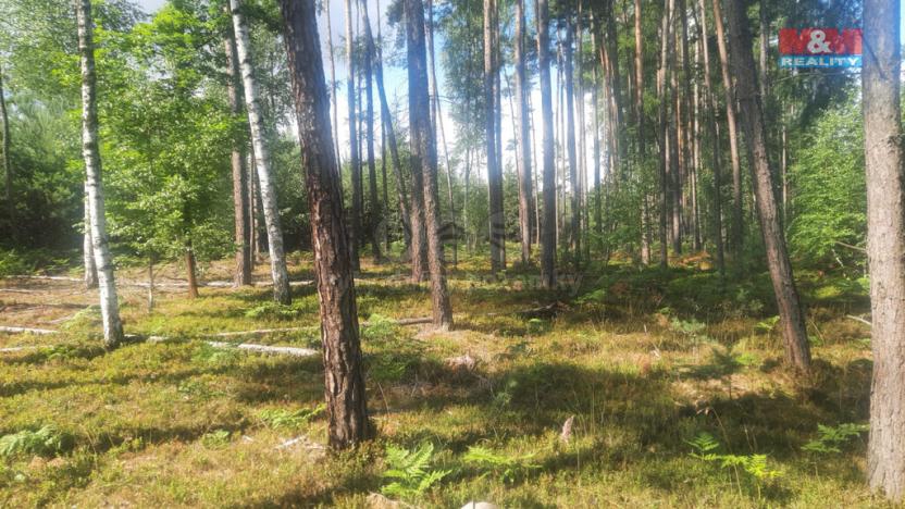 Prodej lesa, Březovice, 108447 m2