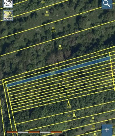 Prodej lesa, Drslavice, 295 m2