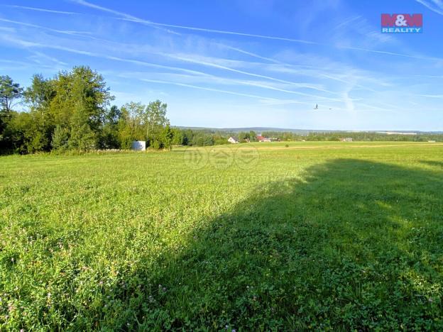 Prodej louky, Škrdlovice, 11513 m2