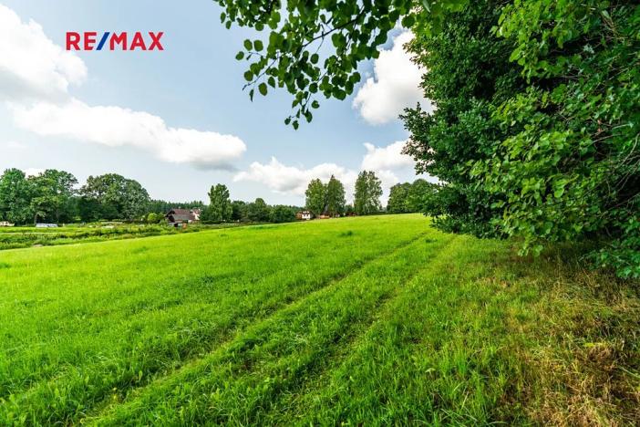 Prodej komerčního pozemku, Nová Pec, 16305 m2