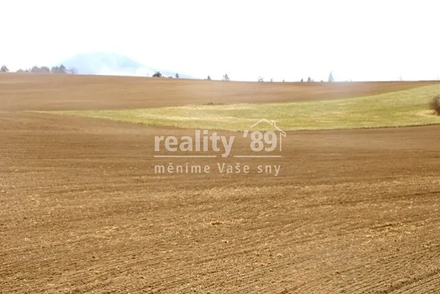 Prodej komerčního pozemku, Roudnice nad Labem, 21161 m2