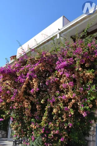 Prodej ubytování, Martinšćica, Chorvatsko, 2327 m2