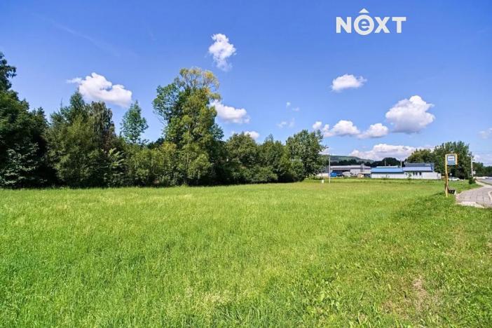 Prodej pozemku pro bydlení, Frýdlant nad Ostravicí, 2497 m2