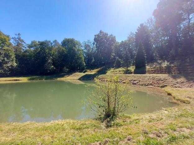 Pronájem bytu 2+1, Bukov, 54 m2