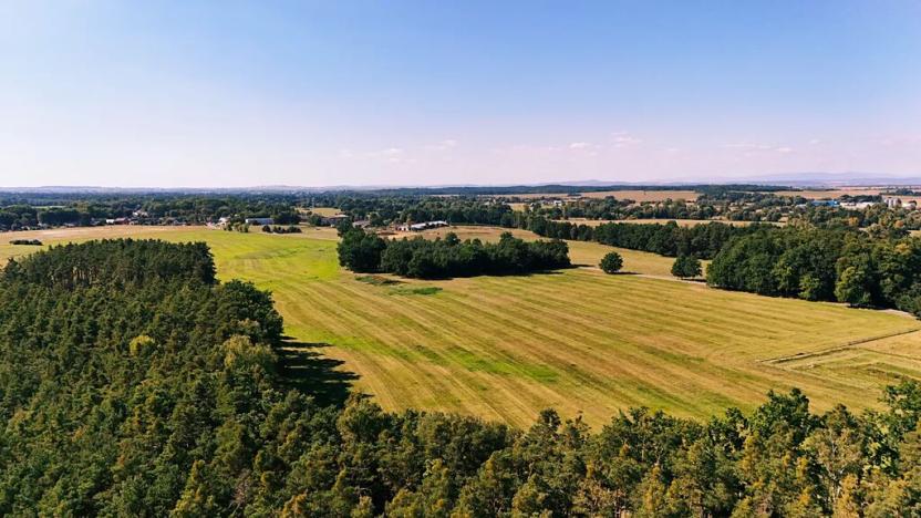 Prodej louky, Běleč nad Orlicí, 28117 m2