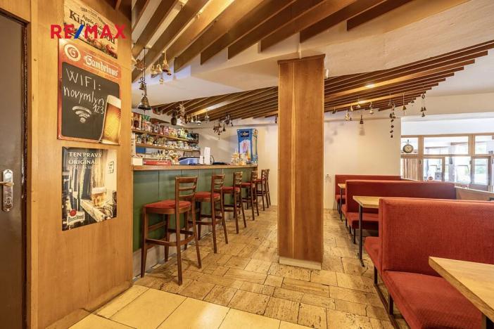 Prodej vícegeneračního domu, Doksy, Pod Borným, 1700 m2